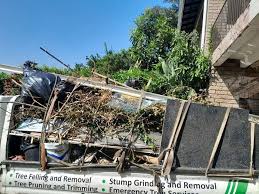 Trusted Collins, MS Junk Removal Services Experts